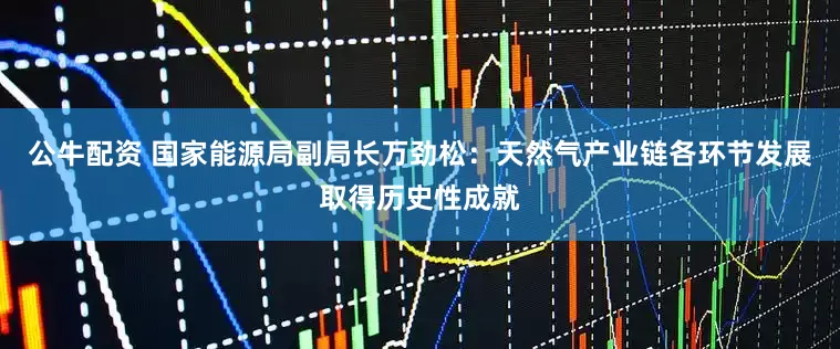 公牛配资 国家能源局副局长万劲松：天然气产业链各环节发展取得历史性成就